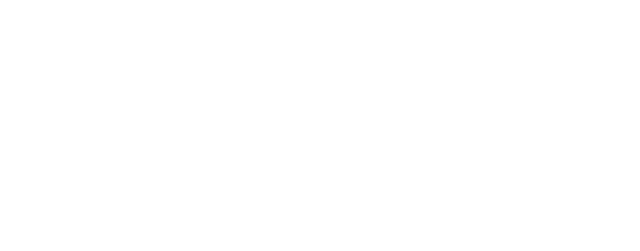 RE/MAX Team