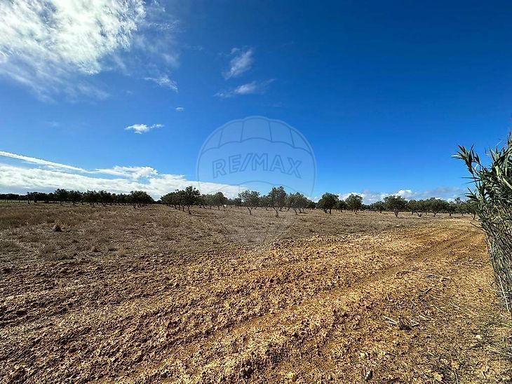 Nos Espaços Agro
